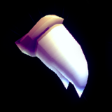 Tooth.png